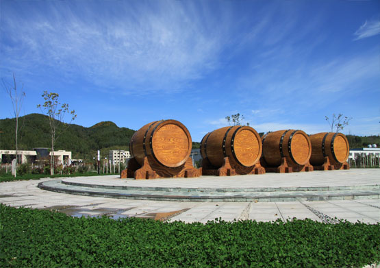 公司實(shí)力